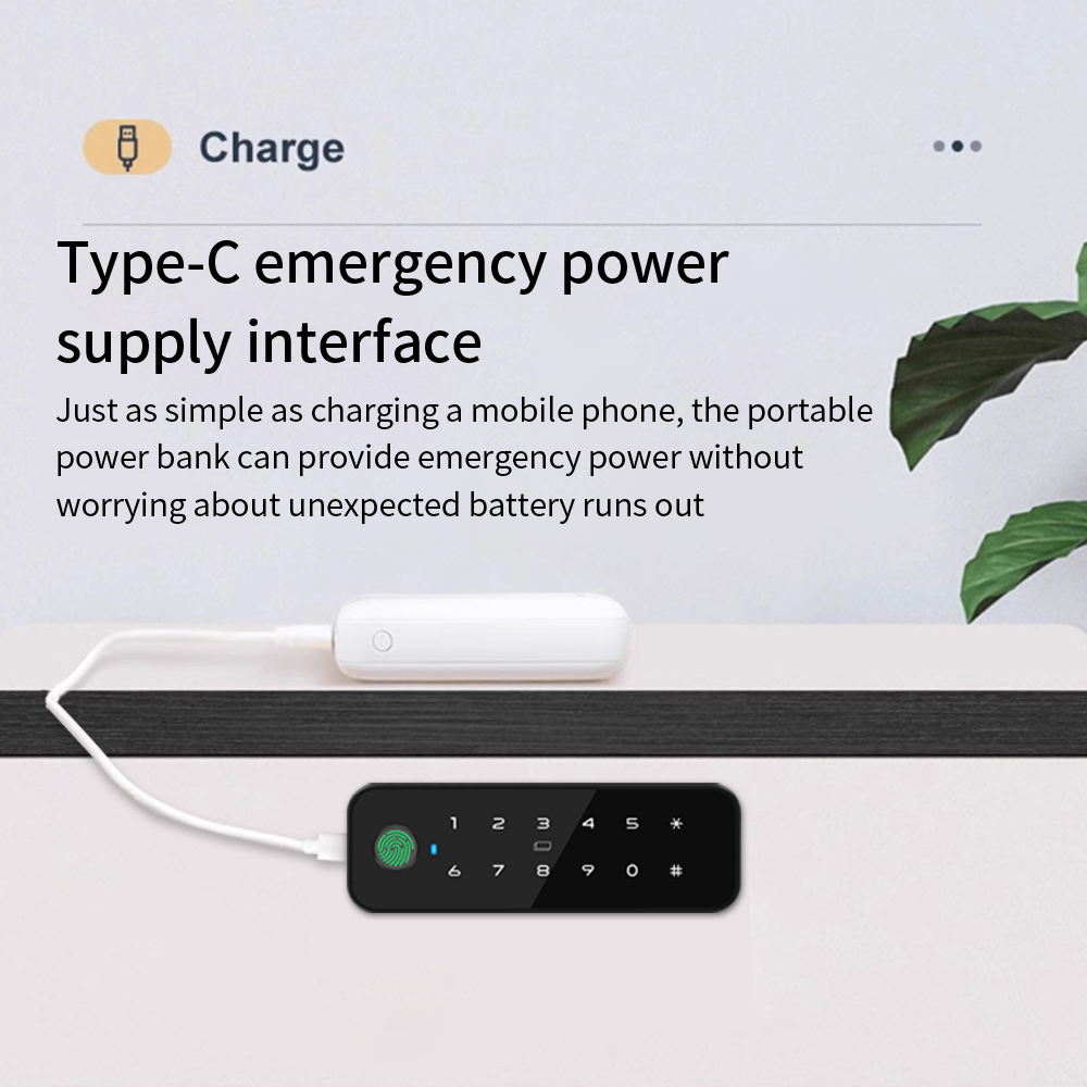 Tuya Bluetooth Akıllı Ahşap Do - Furniture And Hardware incelemesi ve fiyatı